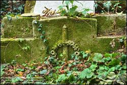 Viennaslide-00371339h Wien, Jüdischer Friedhof Währing - Vienna, Jewish Cemetery Waehring