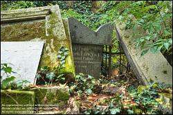 Viennaslide-00371340h Wien, Jüdischer Friedhof Währing - Vienna, Jewish Cemetery Waehring