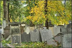 Viennaslide-00371341h Wien, Jüdischer Friedhof Währing - Vienna, Jewish Cemetery Waehring