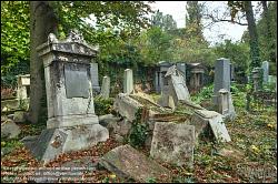 Viennaslide-00371342h Wien, Jüdischer Friedhof Währing - Vienna, Jewish Cemetery Waehring