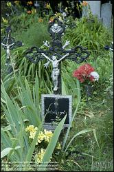 Viennaslide-00371404 Wien, Friedhof der Namenslosen - Vienna, Graveyard for the Nameless