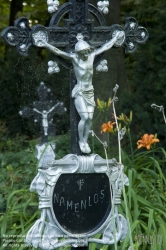 Viennaslide-00371405 Wien, Friedhof der Namenslosen - Vienna, Graveyard for the Nameless