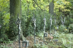 Viennaslide-00371410 Wien, Friedhof der Namenslosen - Vienna, Graveyard for the Nameless