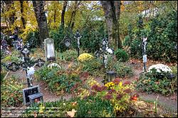 Viennaslide-00371419h Wien, Friedhof der Namenslosen - Vienna, Graveyard for the Nameless