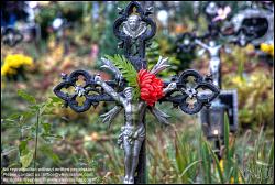 Viennaslide-00371420h Wien, Friedhof der Namenslosen - Vienna, Graveyard for the Nameless