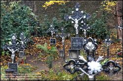 Viennaslide-00371421h Wien, Friedhof der Namenslosen - Vienna, Graveyard for the Nameless