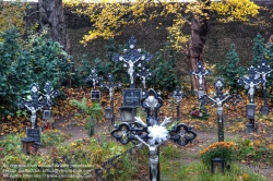 Viennaslide-00371422h Wien, Friedhof der Namenslosen - Vienna, Graveyard for the Nameless