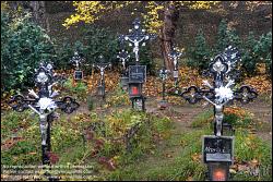 Viennaslide-00371423h Wien, Friedhof der Namenslosen - Vienna, Graveyard for the Nameless