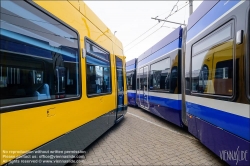 Viennaslide-00611213 Wien, Alstom, Präsentation der 1000. Straßenbahn von Alstom (früher Bombardier) aus Wien, Flexity Goldcoast und WLB // Vienna, Presentation of the 1000th Streetcar by Alstom Vienna (former Bombardier), Flexity Goldcoast and Vienna WLB