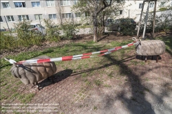 Viennaslide-00630119 Wien, Maßnahmen gegen die Ausbreitung des Coronavirus, gesperrter Spielplatz - Vienna, action against the spread of Corona Virus, closed playground