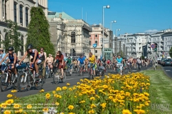 Viennaslide-00800144 Wien, Radfahrprotest 'Critical Mass', Naked Bike Ride