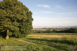 Viennaslide-00900141 Wien, Weinberge in Döbling - Vienna, Wineyards over the City