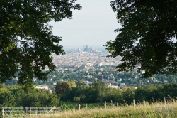 Viennaslide-00900145 Wien, Weinberge in Döbling - Vienna, Wineyards over the City