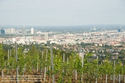 Viennaslide-00900147 Wien, Weinberge in Döbling - Vienna, Wineyards over the City