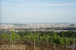 Viennaslide-00900148 Wien, Weinberge in Döbling - Vienna, Wineyards over the City