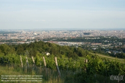 Viennaslide-00900150 Wien, Weinberge in Döbling - Vienna, Wineyards over the City