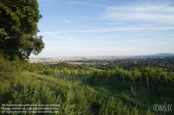 Viennaslide-00900151 Wien, Weinberge in Döbling - Vienna, Wineyards over the City