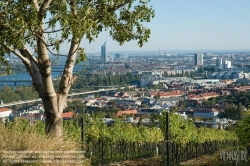 Viennaslide-00900190 Wien, Weingärten bei Nußdorf - Vienna, Wineyard near Grinzing (Nussdorf)