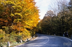 Viennaslide-00909218 Wienerwald, Höhenstraße im Herbst