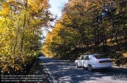 Viennaslide-00909219 Wienerwald, Höhenstraße im Herbst