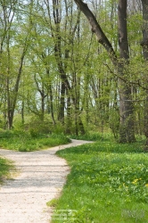 Viennaslide-00910003 Wienerwald, Wanderweg