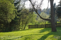 Viennaslide-00910004 Frühlingslandschaft im Wienerwald