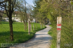 Viennaslide-00910008 Wienerwald, Wanderweg