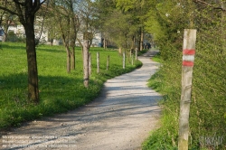 Viennaslide-00910011 Wienerwald, Wanderweg