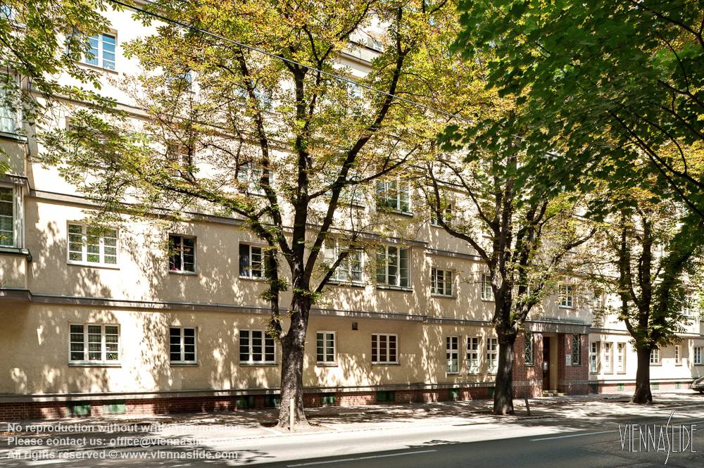 Viennaslide 00425611f jpg