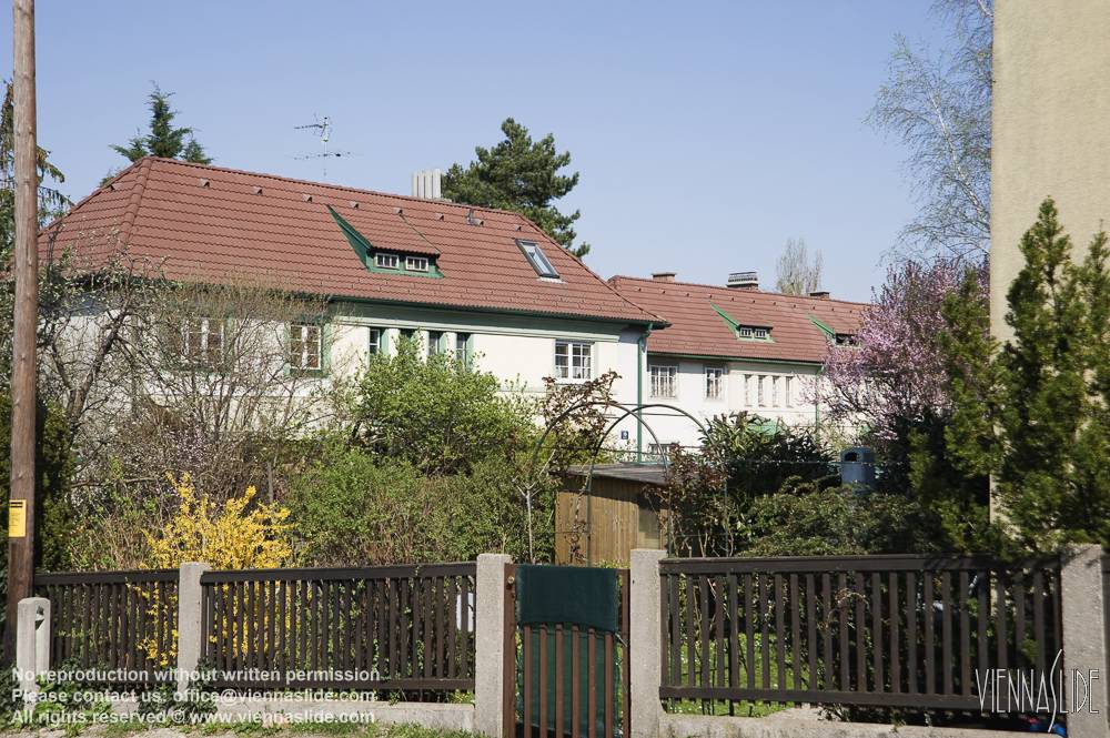 Viennaslide 00480207 jpg