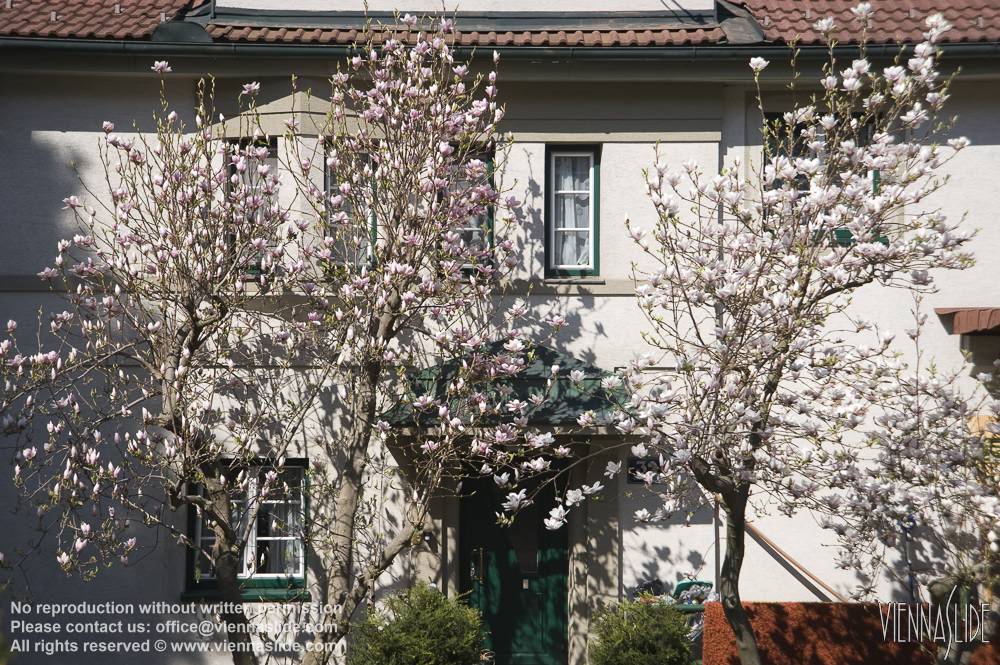 Viennaslide 00480209 jpg