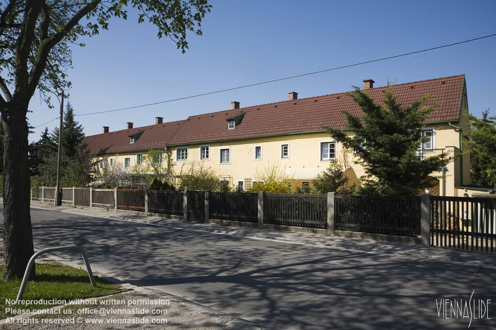 Viennaslide 00480213 jpg