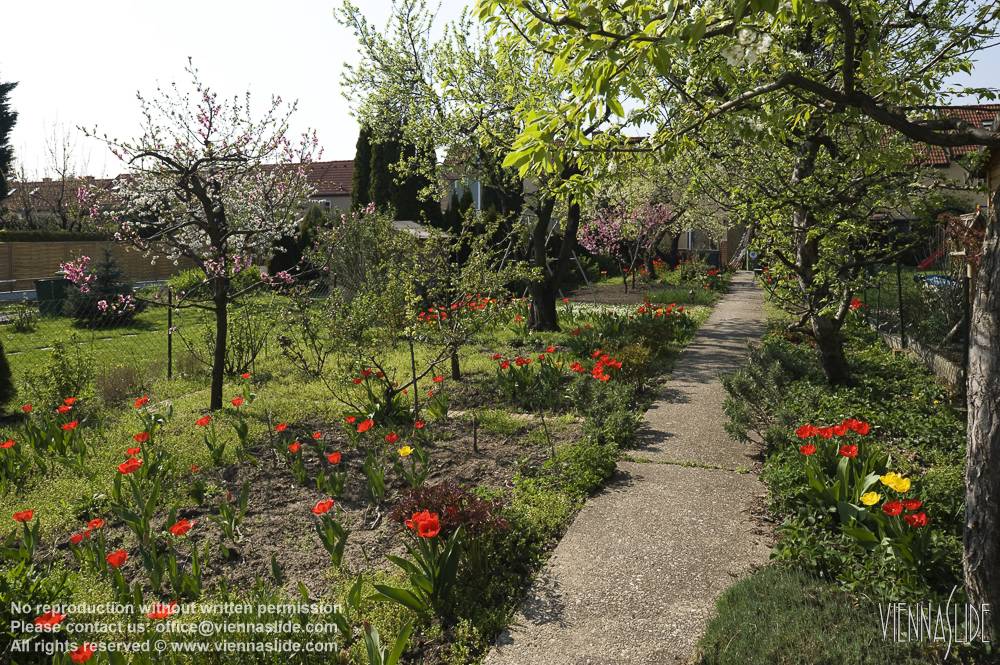 Viennaslide 00480315 jpg