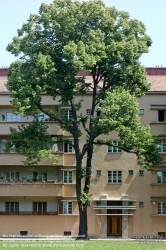 Viennaslide-00421279 Wien, Gemeindebau des 'Roten Wien' - Vienna, Council Tenement Block, 'Red Vienna'. Karl Marx-Hof, Heiligenstädter Straße 82–92, Karl Ehn 1927-1930