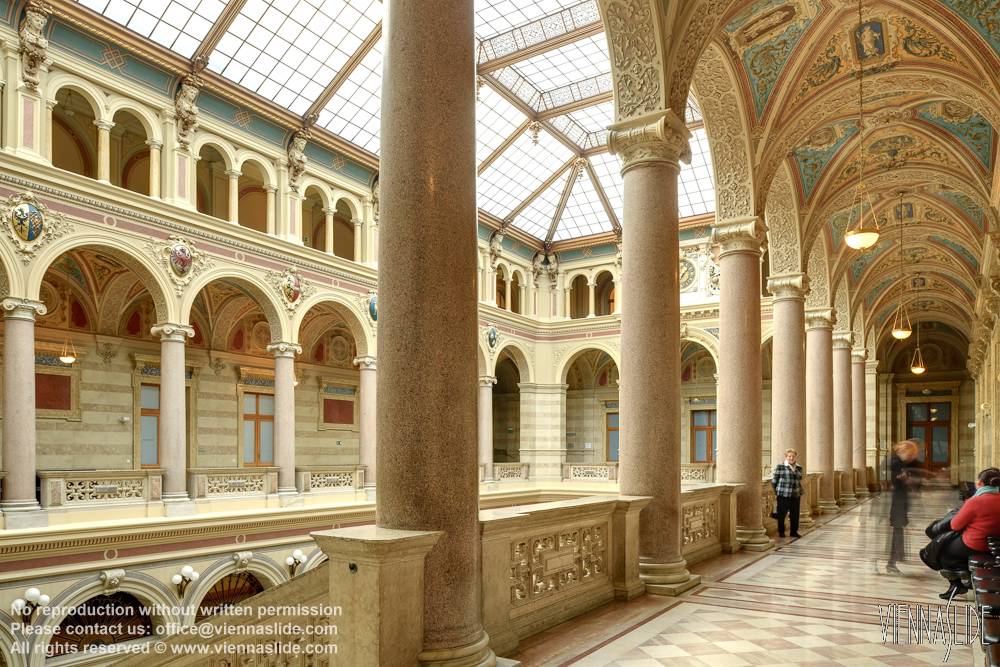 Viennaslide 01155106f jpg