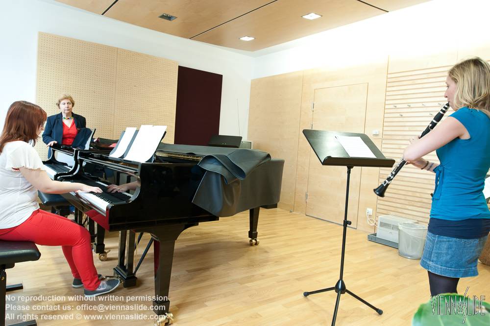 Viennaslide 01202317 jpg