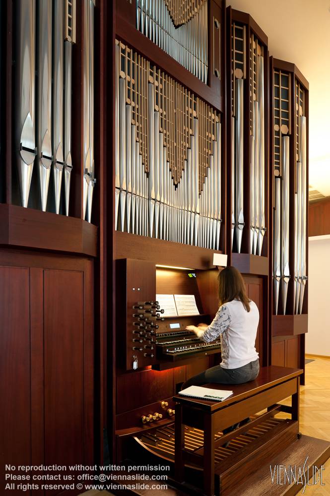 Viennaslide 01202325 jpg