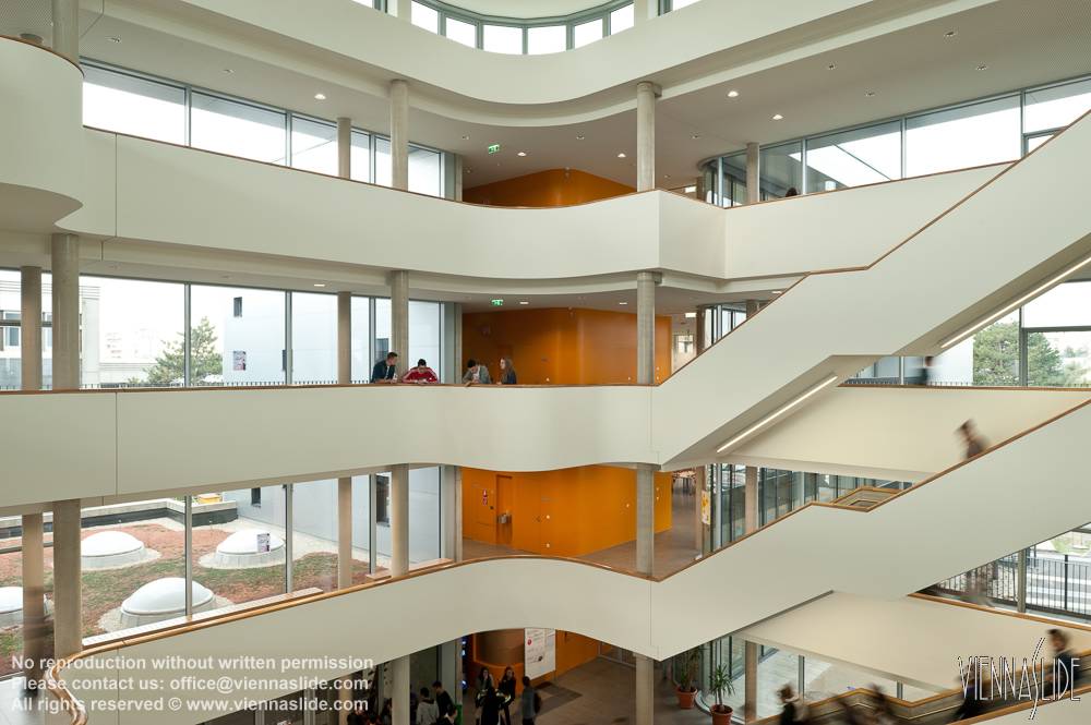 Viennaslide 01202806 jpg