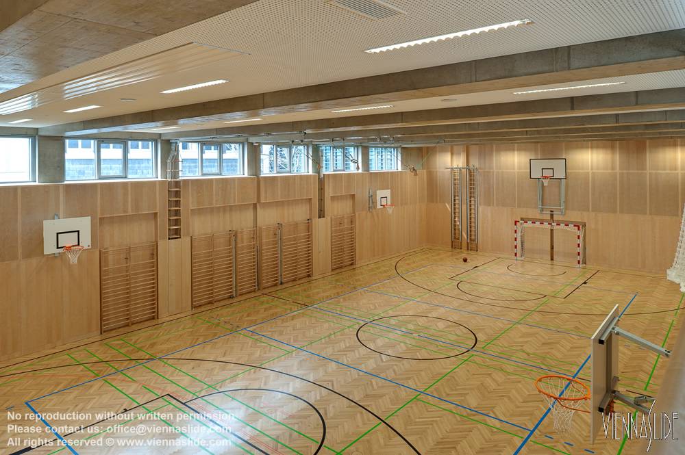 Viennaslide 01202837f jpg