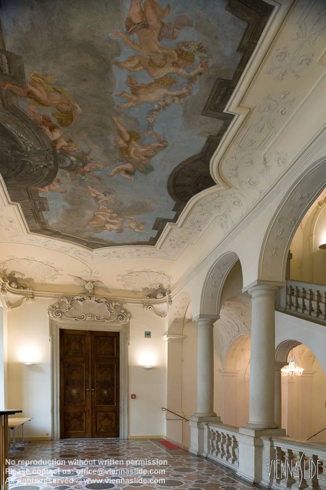 Viennaslide 01251448 jpg