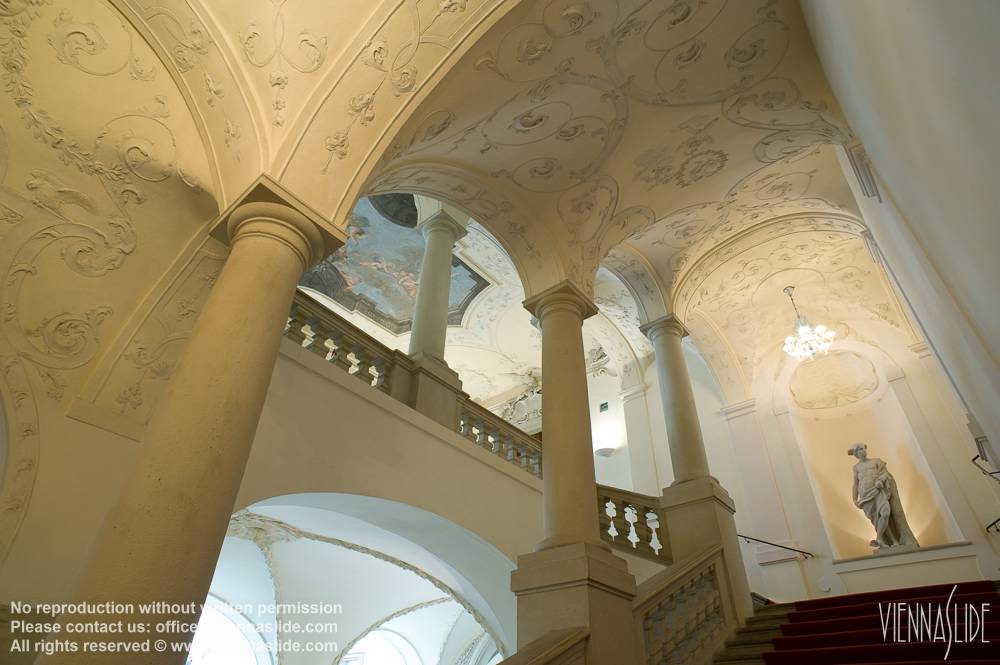 Viennaslide 01251454 jpg
