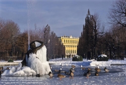 Viennaslide-01020101 Wien, Schloss Schönbrunn, Schlosspark, Winter, Sternbassin - Vienna, Schönbrunn Palace, Winter