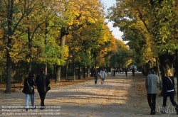 Viennaslide-01023107 Wien, Schönbrunn, Schlosspark - Vienna, Schönbrunn, Garden