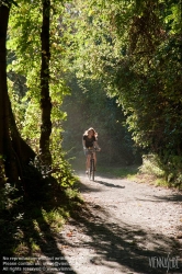 Viennaslide-01034110 Junge Frau fährt mit dem Fahrrad durch den Wald - Young Woman riding a Bicycle in the Woods