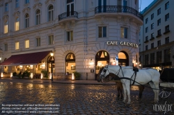 Viennaslide-01060411 Wien, Cafe Griensteidl (inzwischen geschlossen) - Vienna, Cafe Griensteidl (now closed)