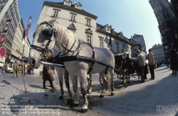 Viennaslide-01105127 Wien, Fiaker - Vienna, Fiacre