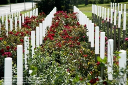 Viennaslide-01108005 Wien, Steinhof, Mahnmal für die Kinder vom Spiegelgrund