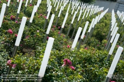 Viennaslide-01108007 Wien, Steinhof, Mahnmal für die Kinder vom Spiegelgrund