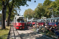 Viennaslide-01110838 Wien, Ringstraße, autofreier Tag, 'Rasen am Ring' - Vienna, Ringstrasse, Car Free Day