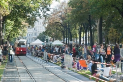 Viennaslide-01110840 Wien, Ringstraße, autofreier Tag, 'Rasen am Ring' - Vienna, Ringstrasse, Car Free Day